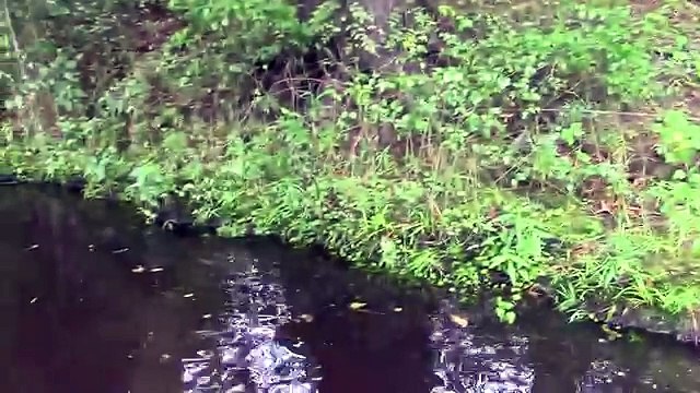 49 year old Farm Girl Playing on the River in her boat and not catching any fish while fly fishing.