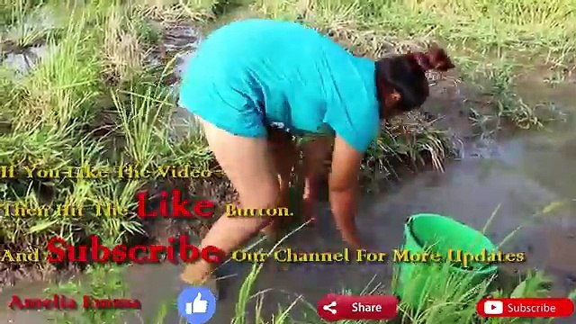 Khmer Fishing - Beautiful Girl Fishing - Amazing Fishing at Battambang - How To catch fish by hand-4
