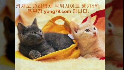 놀이터사이트 ▣【【 yong79。ＣOM 】】▣ 토토총판