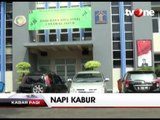 Napi Kasus Perkosaan dan Pembunuhan Kabur dari Rutan Salemba