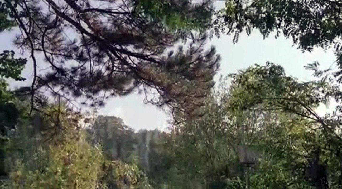 Icon  2005    2ch Eng BlueLady    Part 06