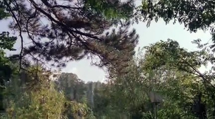 Icon  2005    2ch Eng BlueLady    Part 06