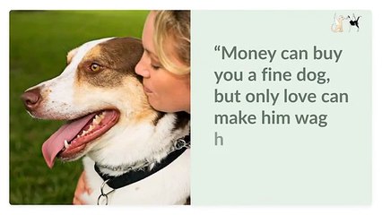 Animal Telepathy Services in Santa Monica