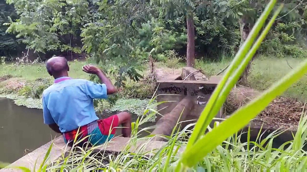 ලබ්බ තමයි කිඹුලෙක් pol karu