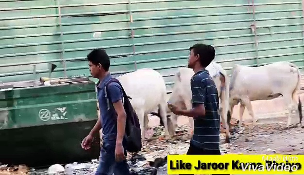 Prank video _ Indian prank video _ Phone de Tera.Funny prank , prank hindi , indian, comedy videos, hindi prank videos,Prank, Prank videos, funny videos , commedy video, laughing videos, masti videos, Indian prank, entertainment videos