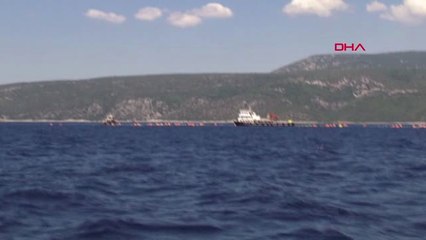 İzmir Sığacık'ta Orkinos Çiftliği Zaferi