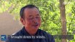 Desert turns into oasis- Man plants 50,000 trees in 15 years in N China