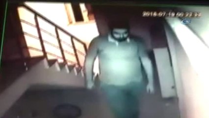 Çalınan Kedilerini Dedektif Gibi İz Sürüp Buldular