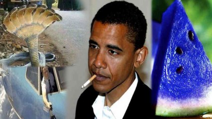 Viral Images That Broke The Internet ఇంటర్నెట్‌‌ని కుదిపేసిన వైరల్ ఫోటోలు