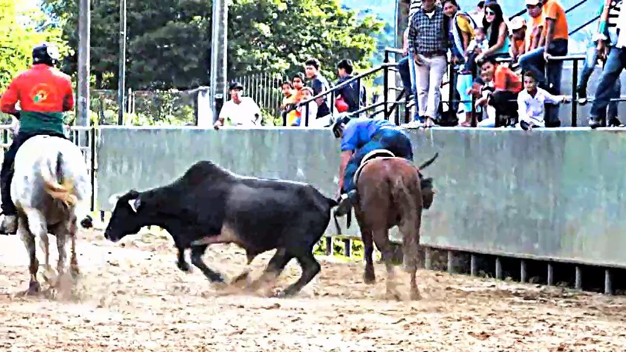 COPA DE COLEO ALFREDO MONTAÑA LEMUS