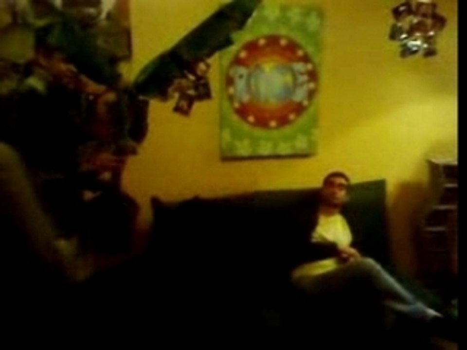 dezno la plante verte