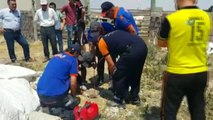 7 Metrelik Kuyuya Düşen Yavru Köpek Afad Tarafından Kurtarıldı