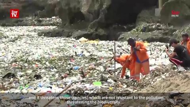 Waves of plastic, debris found in Caribbean sea off coast of Santo Domingo
