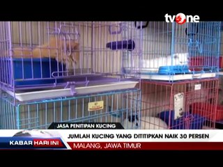 Musim Mudik, Jasa Penitipan Hewan Laris Manis