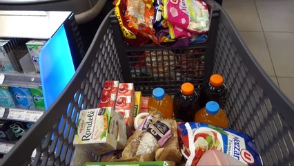 MANGER DE LA NOURRITURE POUR ANIMAUX -- - Vlog famille