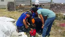 Su kuyusuna düşen yavru köpeği AFAD ekipleri kurtardı - AKSARAY