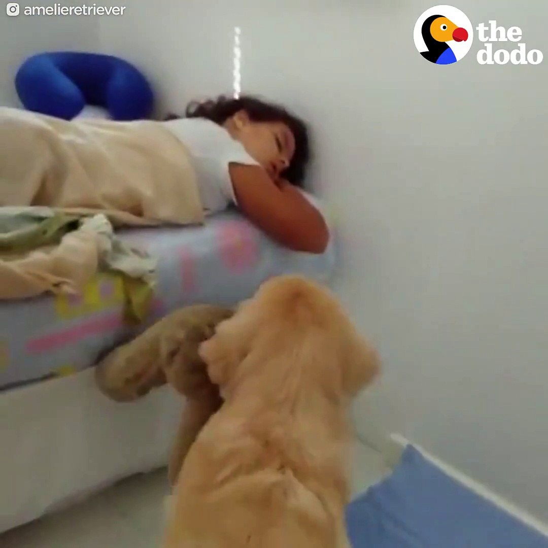 ⁣please wake up please wake up please wake up please wake up