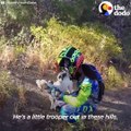 This lost dog was stranded in the desert — so these friends had to race to save his life before nightfall 