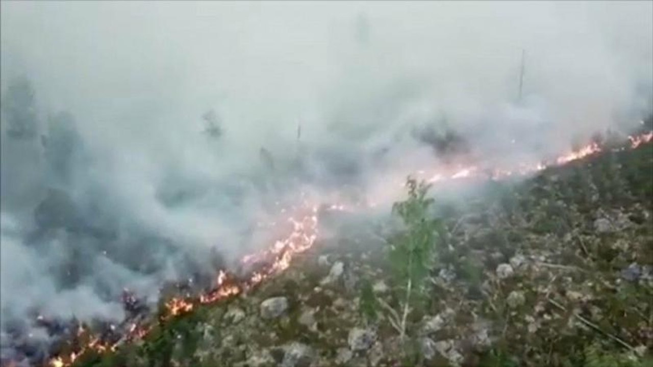 Incendios y sequías en el norte de Europa a causa de una ola de calor
