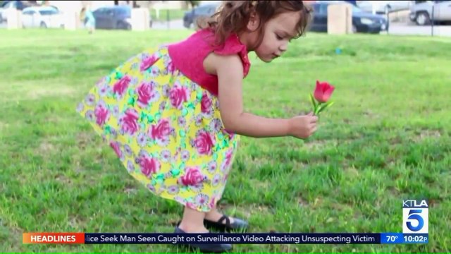 Grandfather Arrested After Four-Year-Old Boy Accidentally Shoots, Kills Two-Year-Old Cousin