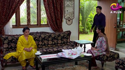 Bohtan - Episode 22 | Aplus Dramas | Sanam Chaudry, Abid Ali, Arslan Faisal | Pakistani Dr