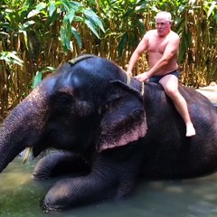 The biggest jokers! Follow Howlers for more!