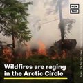 Ruthless heat has caused wildfires along the Arctic Circle in Sweden