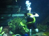 Un plongeur joue avec une murène géante très affectueuse