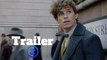 Fantastic Beasts: The Crimes of Grindelwald Trailer #1 (2018) Eddie Redmayne Fantasy Movie HD