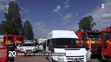 Suède : sécheresse et feux de forêt sans précédent