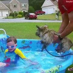 Dogs are just hilarious in the water!