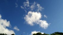 沖縄の今日の天気 ウグイスも鳴いていますね トンボもとんでました