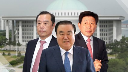 의장서 야당 대표까지...여의도 이끄는 '盧의 남자들' / YTN