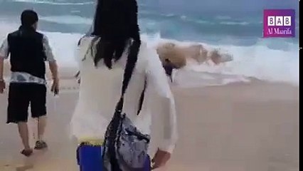 لاتثق ابدا في البحر شاهد ماذا حدث
