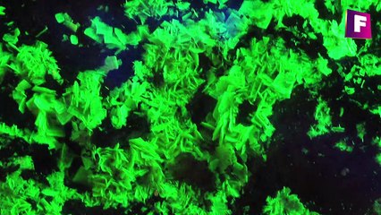 Download Video: avance - Los 9 minerales fluorescentes mas impresionantes | Foro de minerales