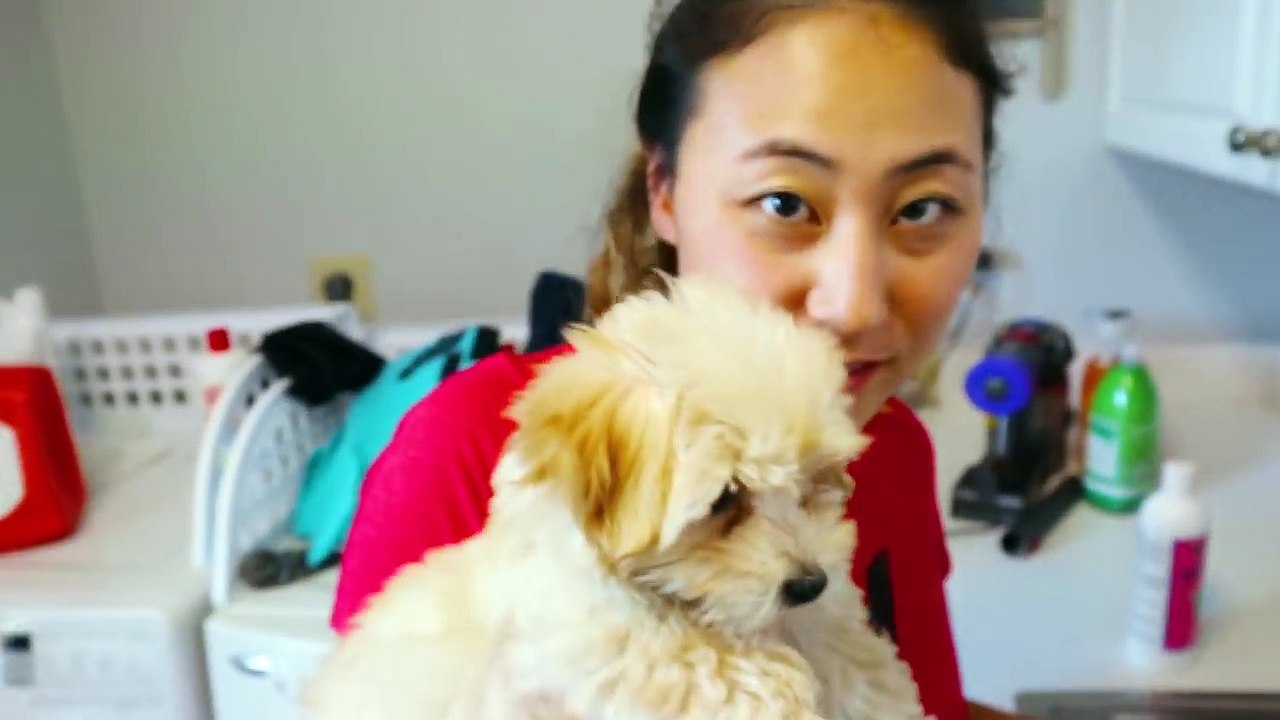 PUPPY'S FIRST BATH!! WITH CARTER SHARER & LIZZY SHARER  (10 Week Old Puppy)