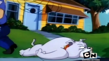 Tom and Jerry - Funny Cartoon - Dog Daze Afternoon - (Full Episode in HD #1)