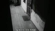 얼지마 죽지마