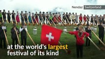 Soft sounds of Swiss alphorns delight fans in international festival