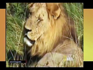 Imperio Salvaje 2 La Rebelion cap1 T2