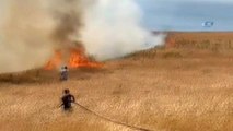 Alevler 65 Dönümlük Buğday Tarlasını Kül Etti