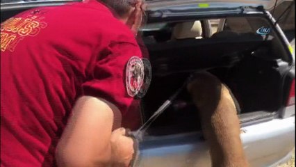 Otomobilde bin 403 adet uyuşturucu hap ele geçirildi