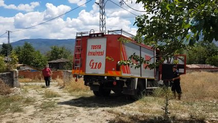 Tosya'da yılanlar evleri bastı