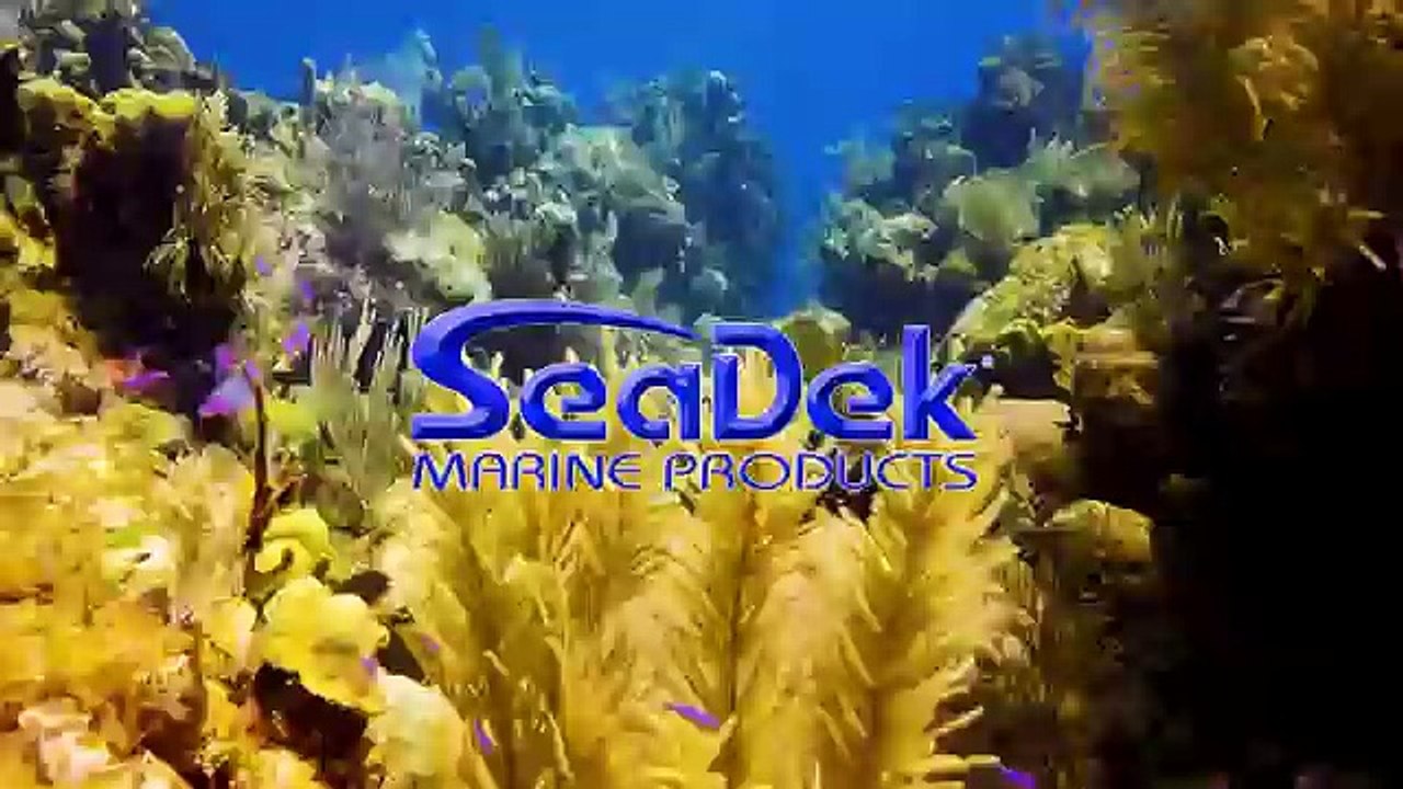 Adventures of Crocodile Bay part 2 ! Fishing in Costa Rica