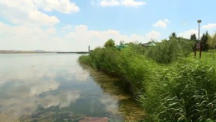 Ankara'nın Denizi"Ndeki Temizlik Çalışmalarını Aa Görüntüledi (1)