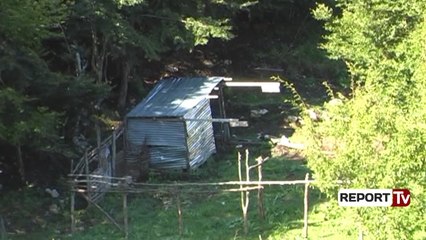 Report Tv - Stanet “pushtojne” malin e Krujes, dëmtohet bimësia