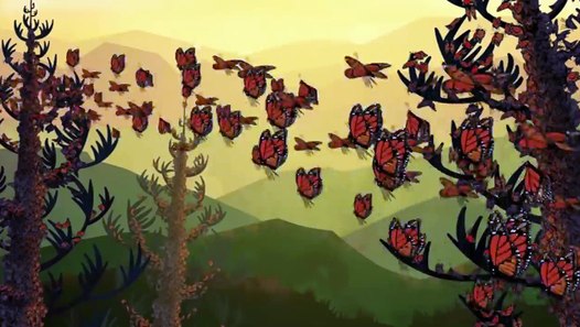 Wild Kratts - Insects and Critters - video Dailymotion