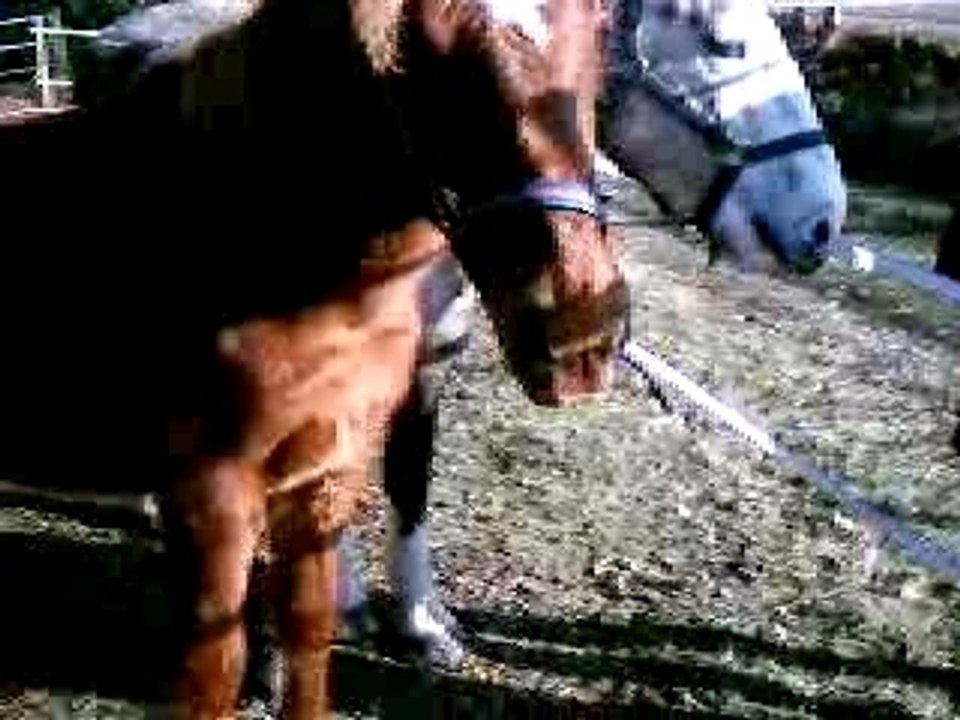 IMAG0139