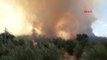 Antalya Antalya Aksu'da Orman Yangını