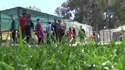 Hayvan Parkı'nda Sıcak Ayarı... Hayvanlara Buzlu Meyve Servisi Yapılıyor